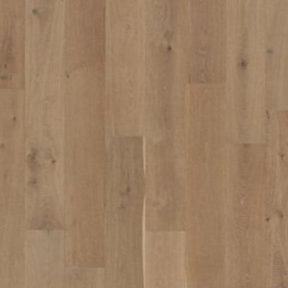 Brevanna in Cobble Path Oak