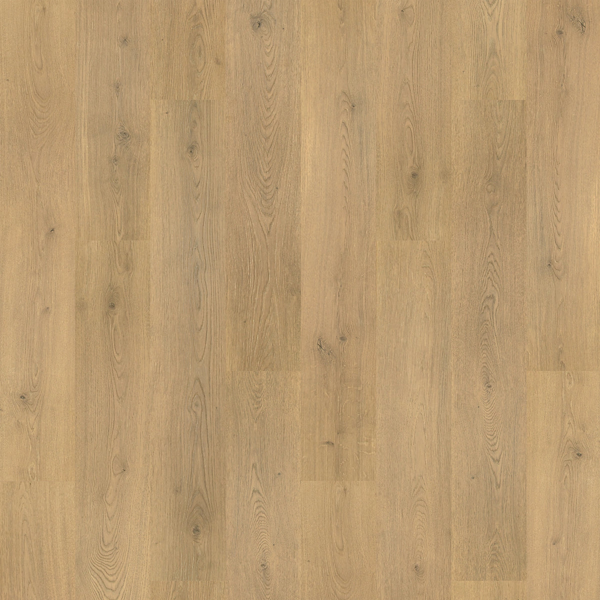 Hampton Villa in Tulip Shell Oak