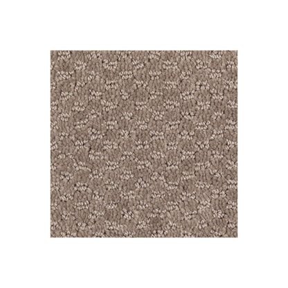 Thoughtful Elegance in Woodchuck
