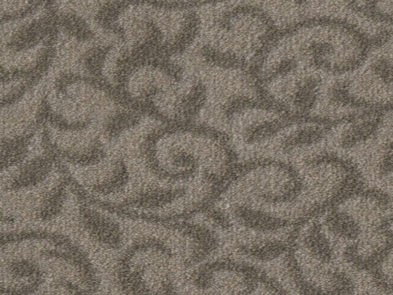 Imagine -  Pure Elegance in Silver Ash