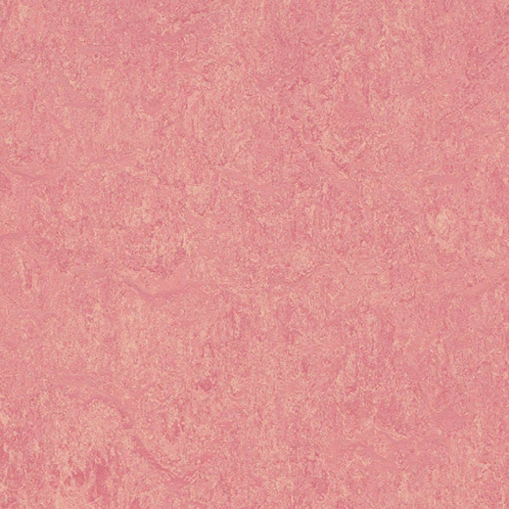 Marmoleum - Cinch Loc Seal in Honey Suckle