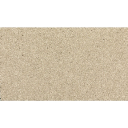 New Statement III in Stone Lion