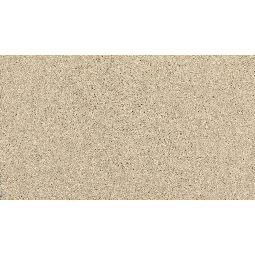 New Statement II in Stone Lion