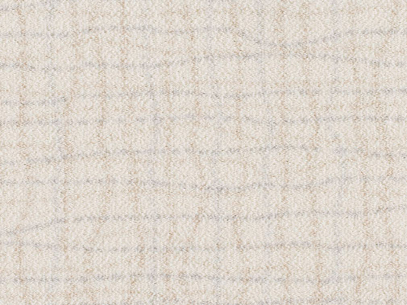 Imagine - Backdrop in Natural