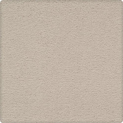 Artisan Delight in Buffed Carpet