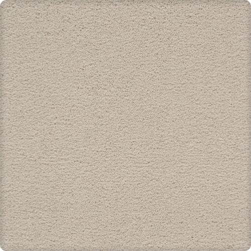 Artisan Delight in Buffed Carpet