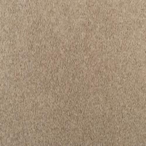 Delightful Dream in Dried Wheat Carpet