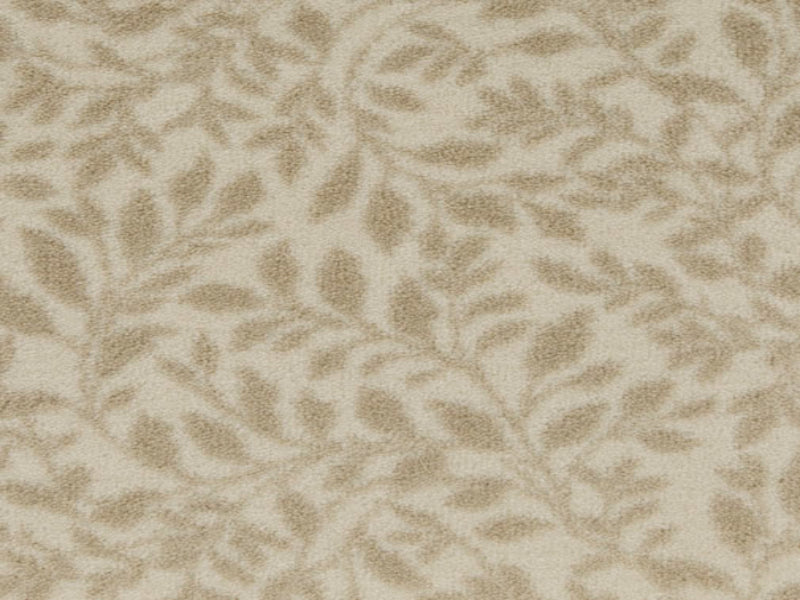 Imagine -  Hidden Trail in Breezy Beige
