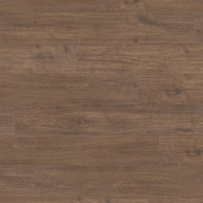 Littora in Shoreline Oak