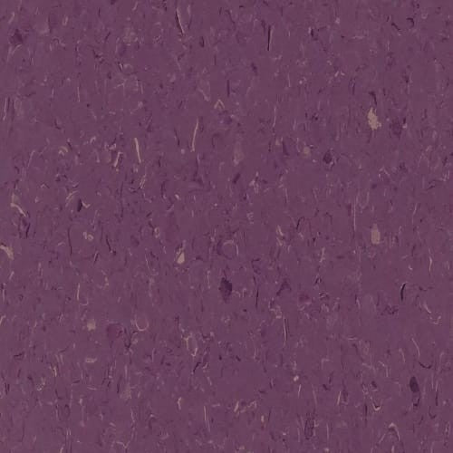 VCT II in Deep Plum