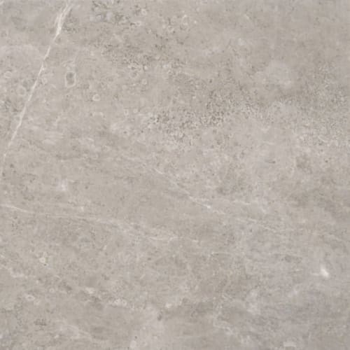 Ritz Gray