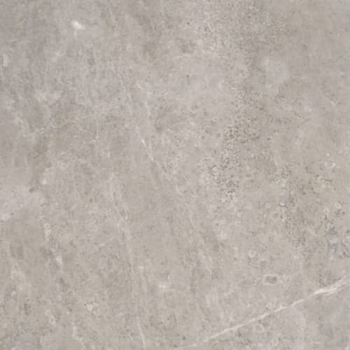 Ritz Gray