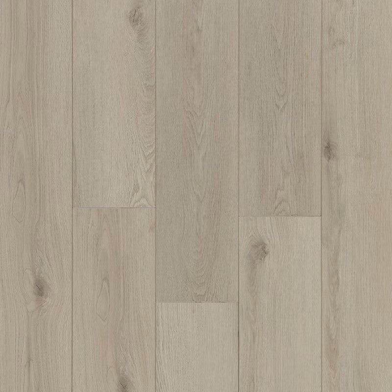 Concerto Edge in Gamma
