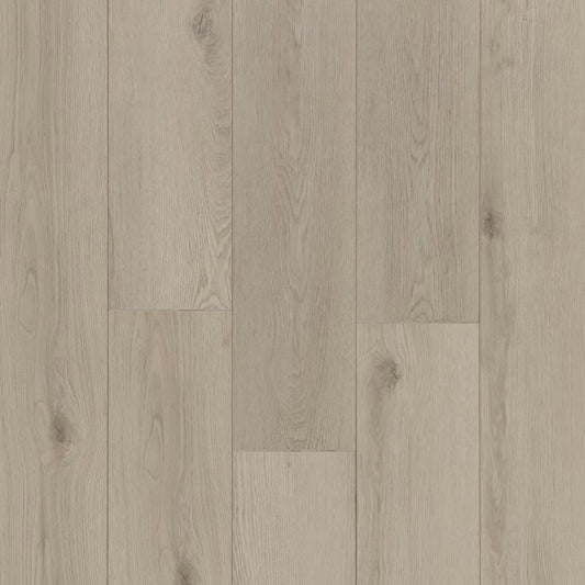 Concerto Edge in Gamma
