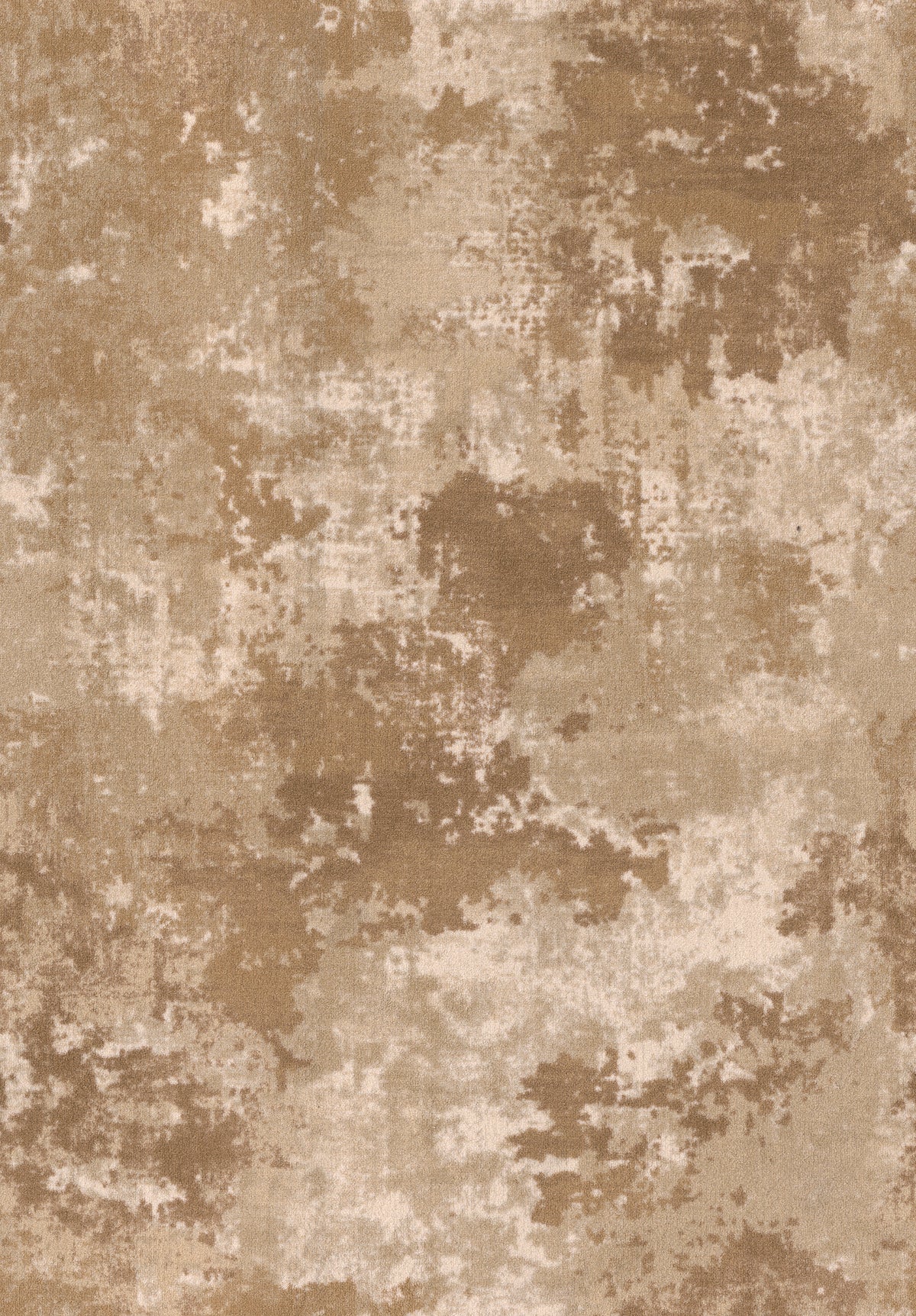 Imagine Figurative - Sky Canvas in Copperwood