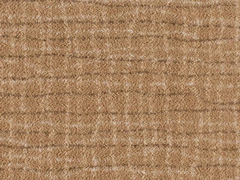 Imagine - Backdrop in Buckskin