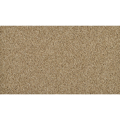 Iconic Look II in Warm Almond