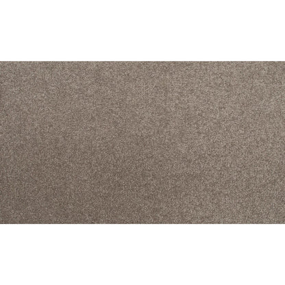 Radiant Surface in Moonrock