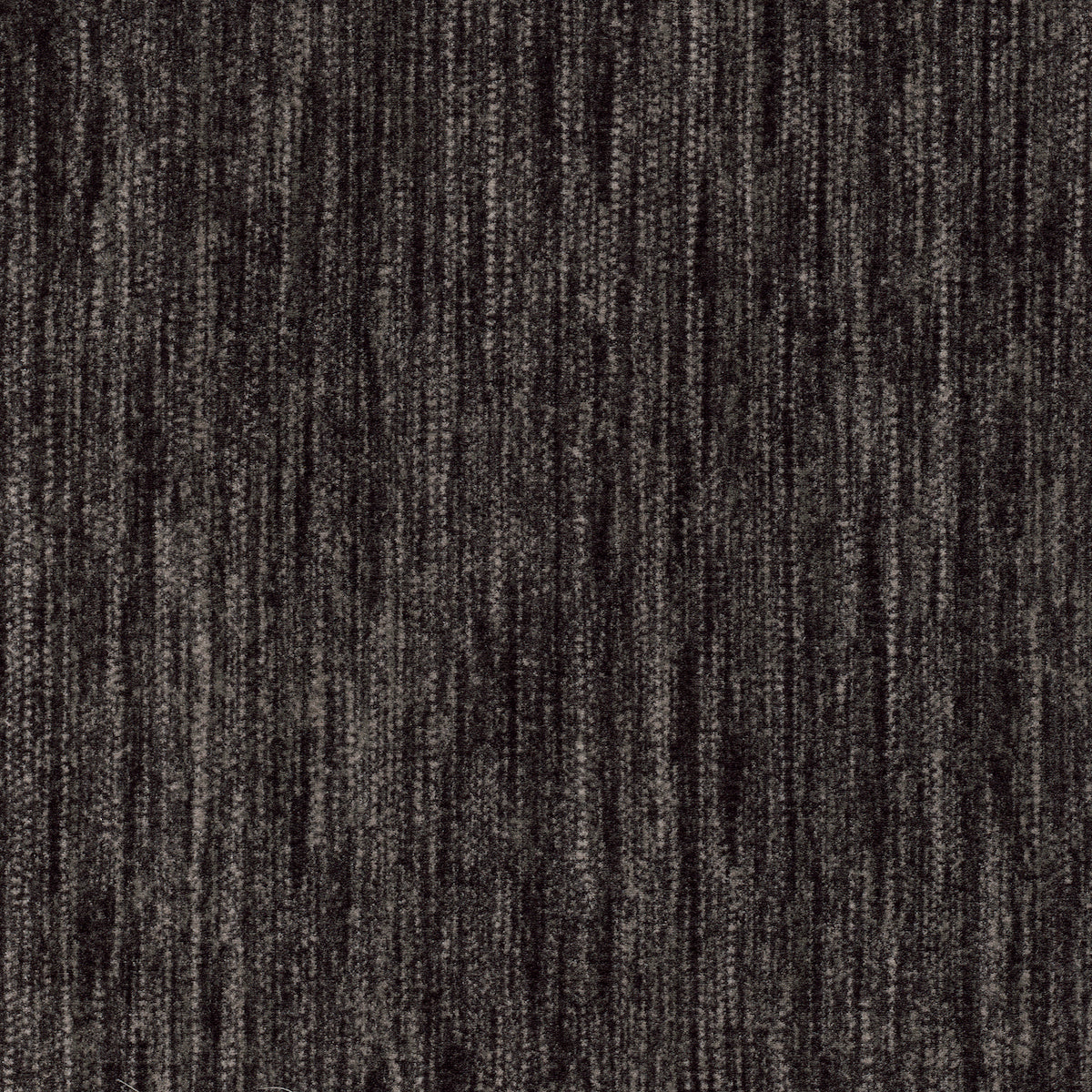 Imagine Figurative - Saltmeadow in Black Night