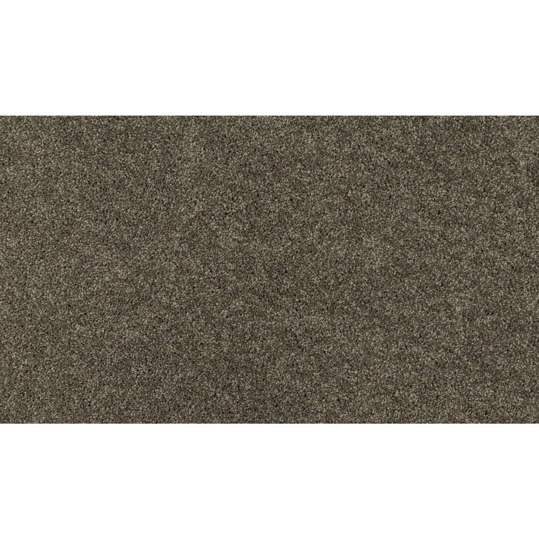 Magnificent Style II in Meteorite