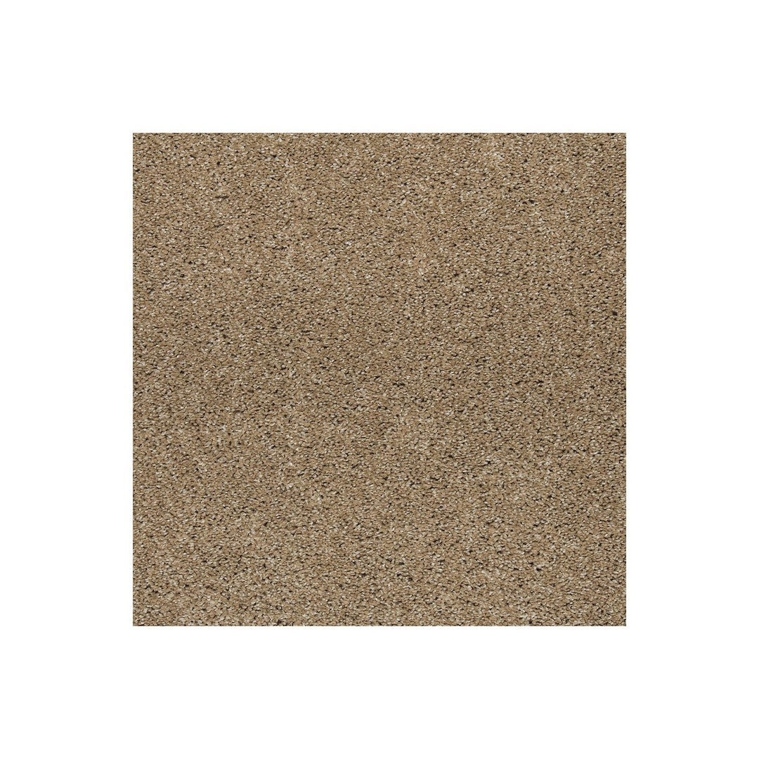 Native Allure I in Hearth Beige