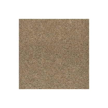 Native Allure I in Hearth Beige