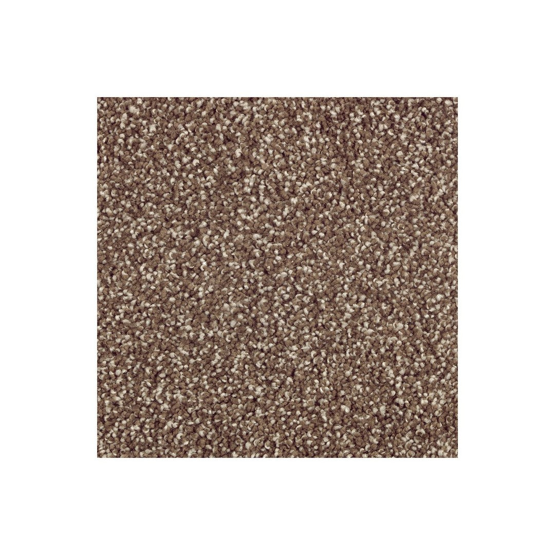 Native Allure II in Dried Peat