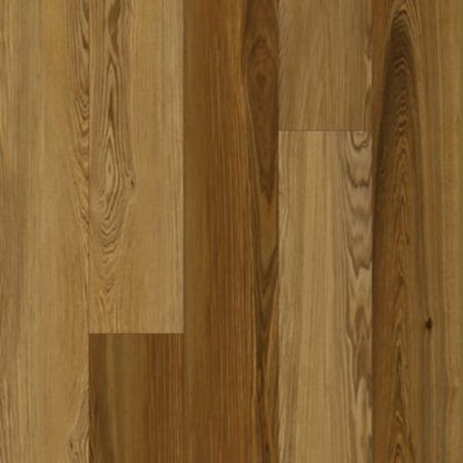 Refined Forest in Cedar