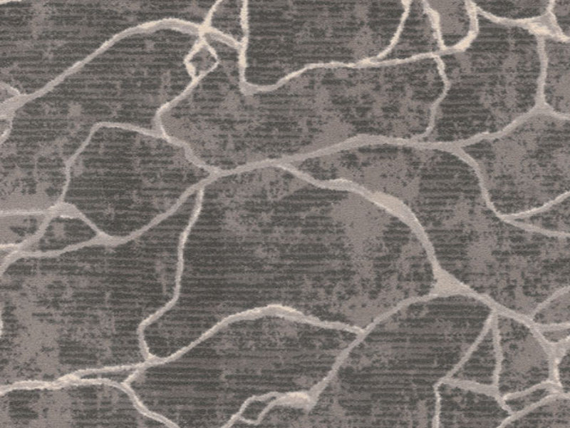 Imagine -  Leading Edge in Crystal Gray