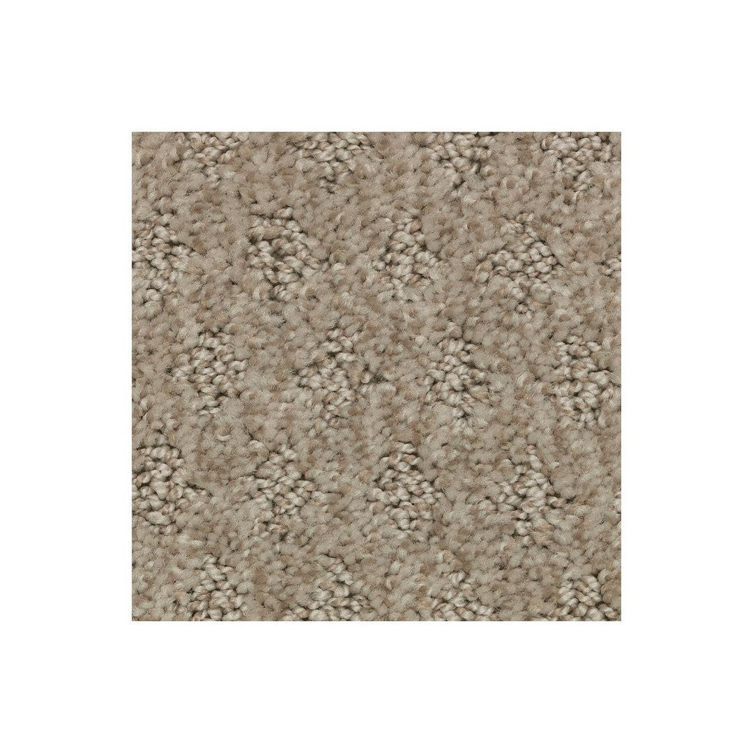 Bountiful Elegance in Alpaca
