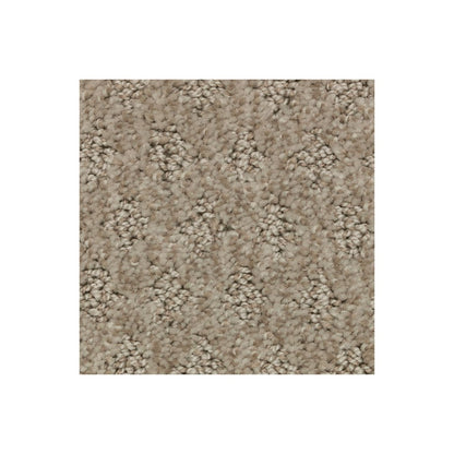 Bountiful Elegance in Alpaca