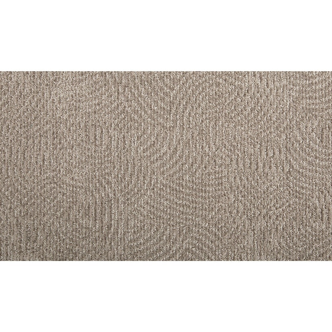 Fashion Sequence in Timber Rose