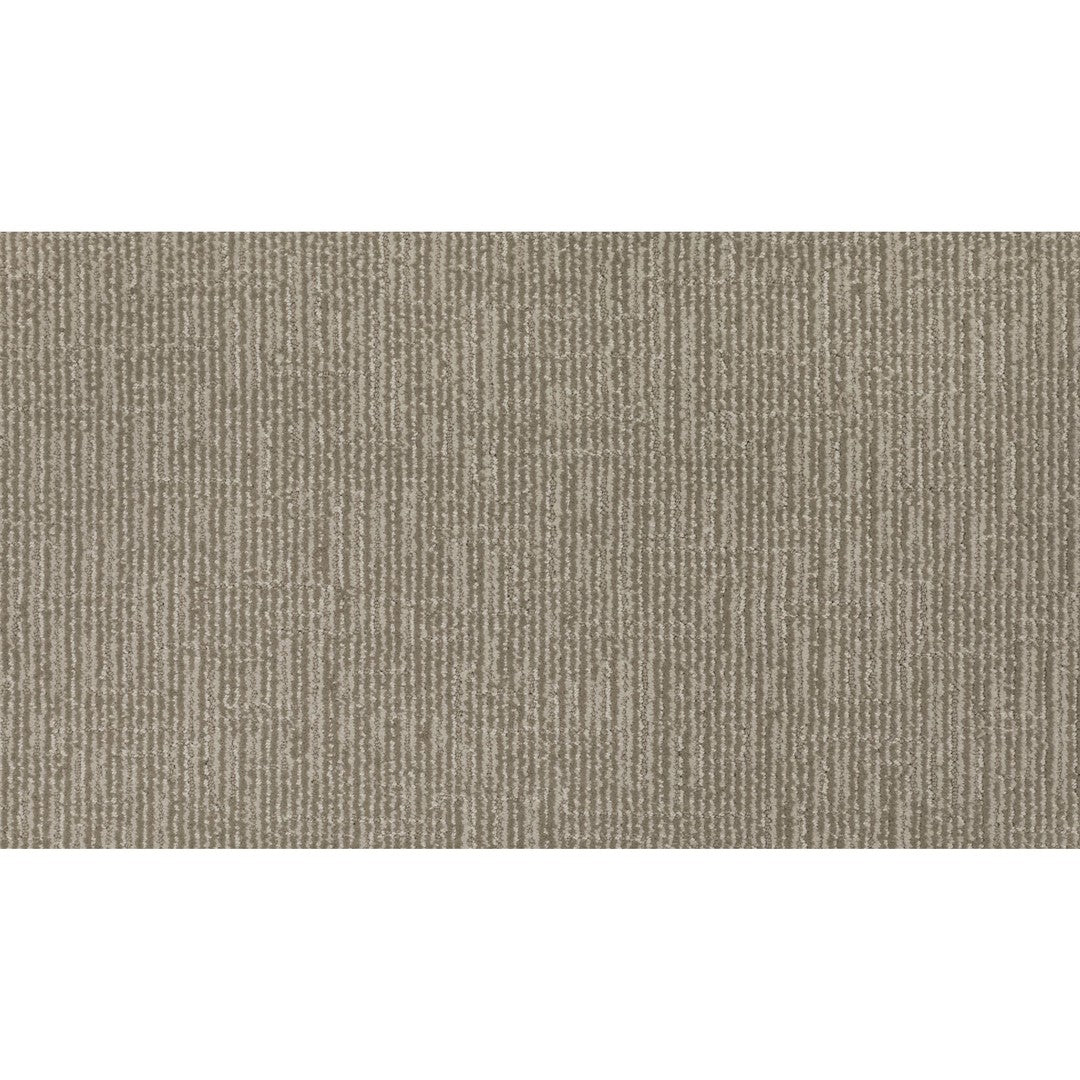 Timeless Features in Parisian Beige