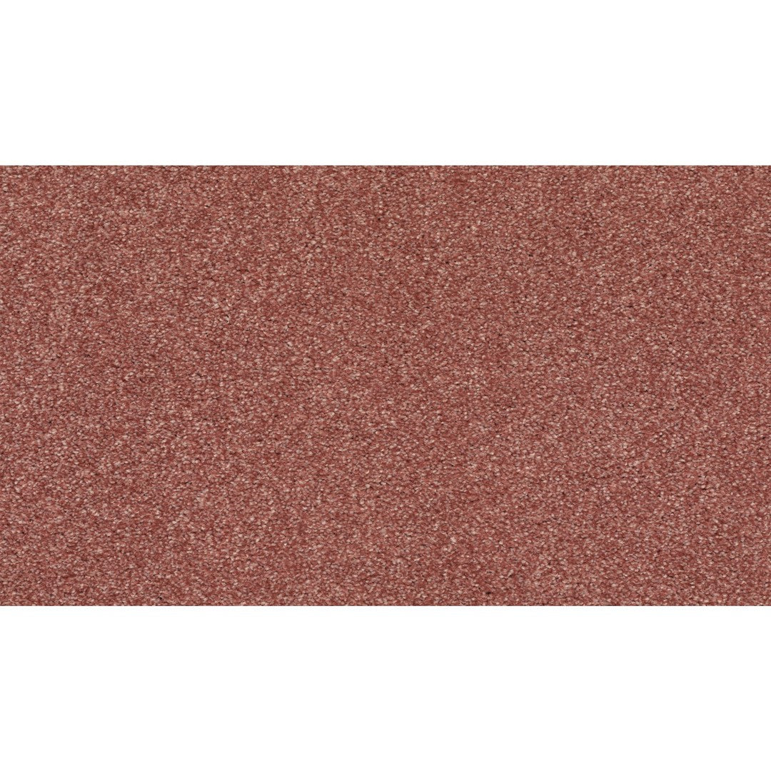 Radiant Surface in Cool Blush