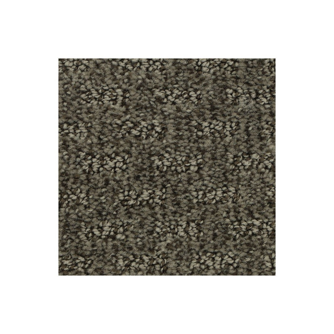Attractive Trend in Rock Garden