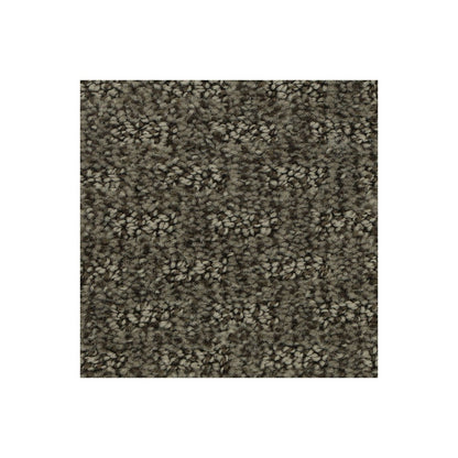 Attractive Trend in Rock Garden