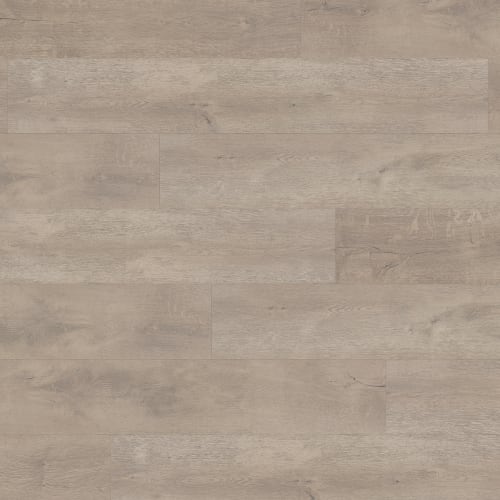 Gallo in Armoric Laminate