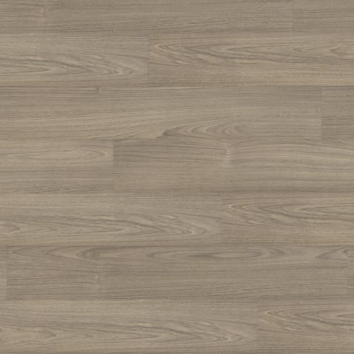 Gallo in Castello Laminate