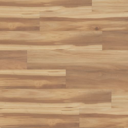 Gallo Xtra in Renzo Xtra Laminate