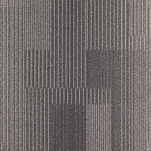 Development in Gunmetal Carpet Tile
