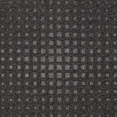 CleanStep in Terra Firma Carpet Tile
