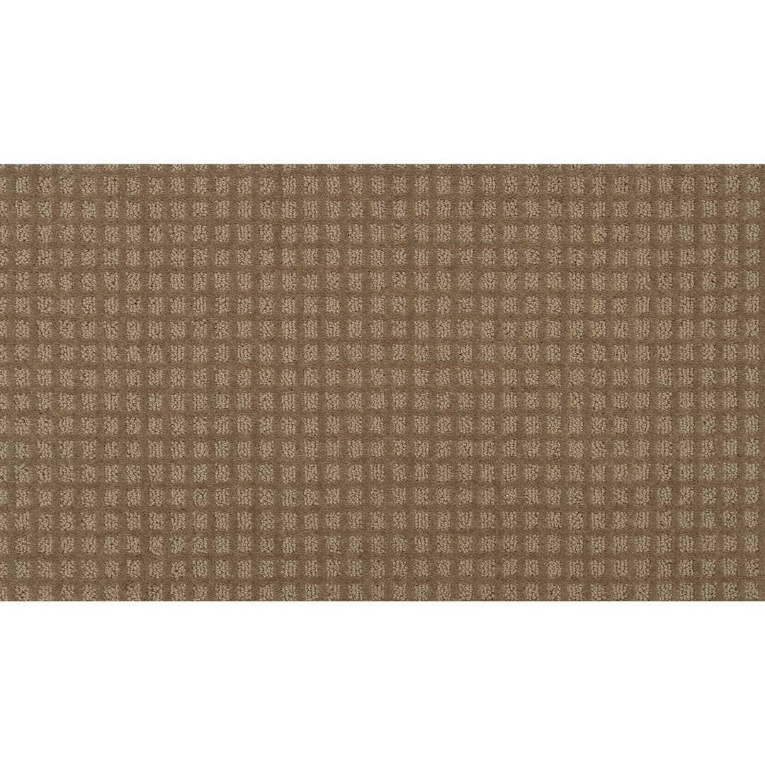 Magnetic Form II in Sonora