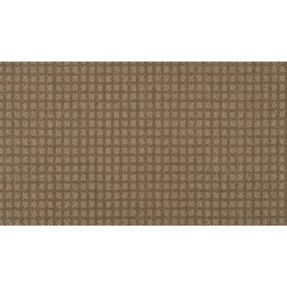 Magnetic Form II in Sonora