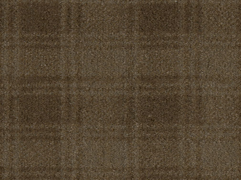 Imagine -  Greyfriar in Timber