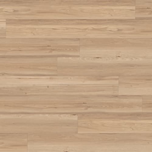 Arctik in Natural Maple Luxury Vinyl