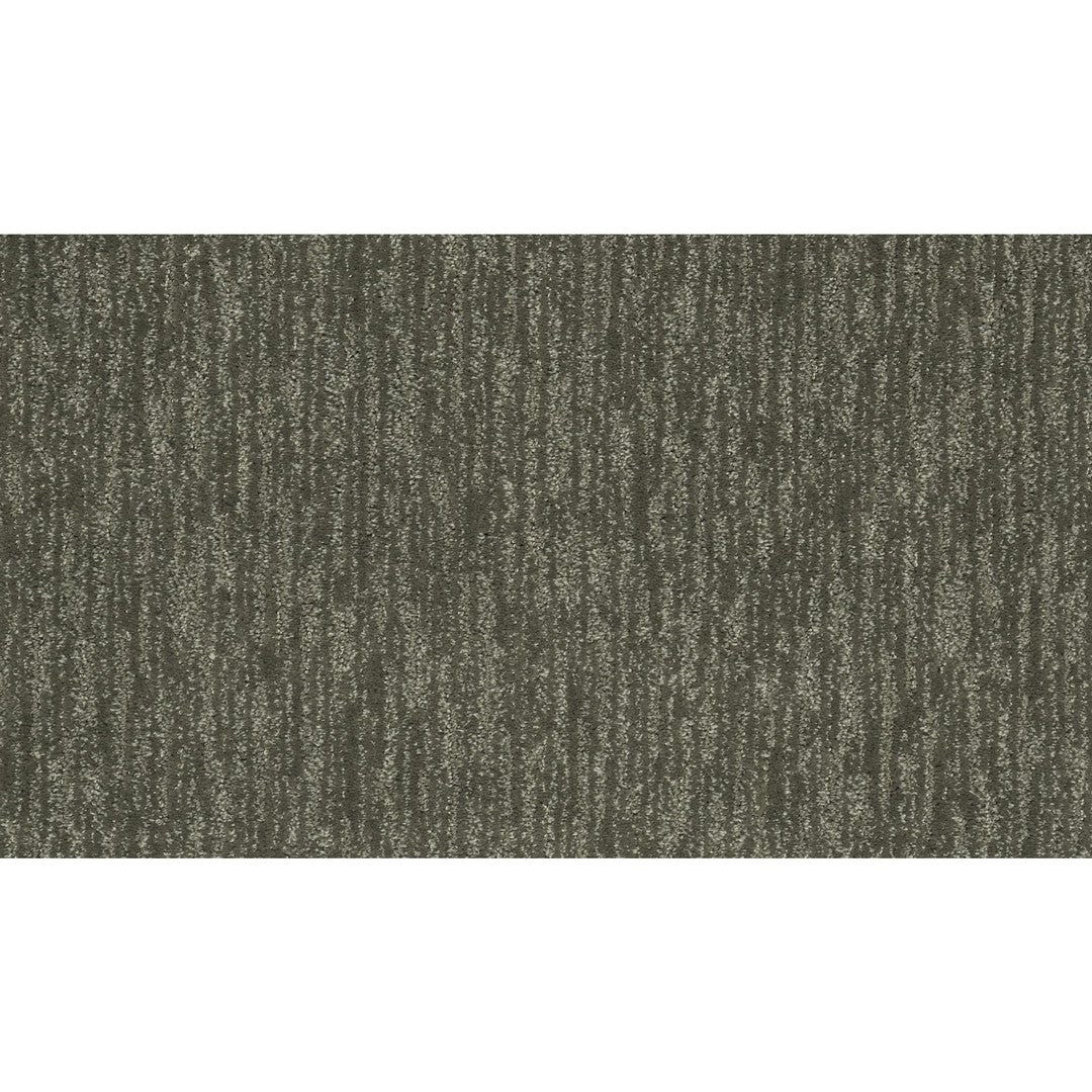 Enchanting Regard in Deep Slate