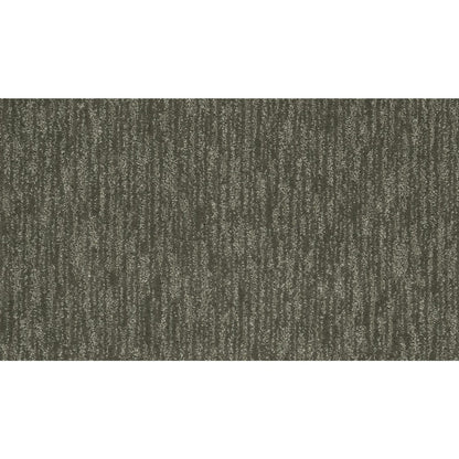 Enchanting Regard in Deep Slate