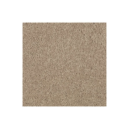 Nature's Charm II in Hearth Beige