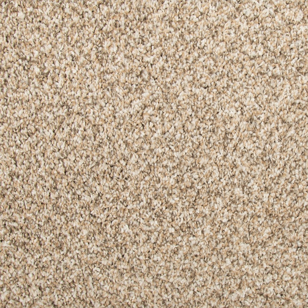 Color Harmony II in Rum Cream