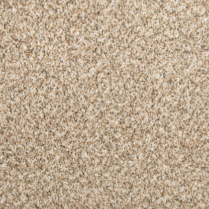 Color Harmony II in Rum Cream